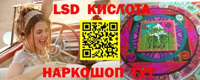 кокс Гусев