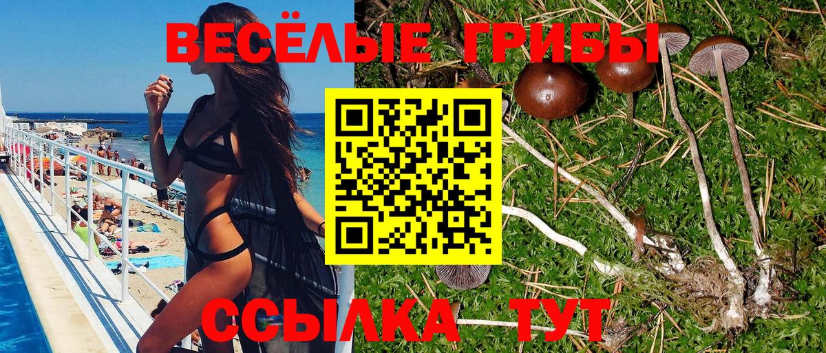 Галлюциногенные грибы прущие грибы  Вход с VPN  Псилоцибиновые грибы ЛСД  Мирный 